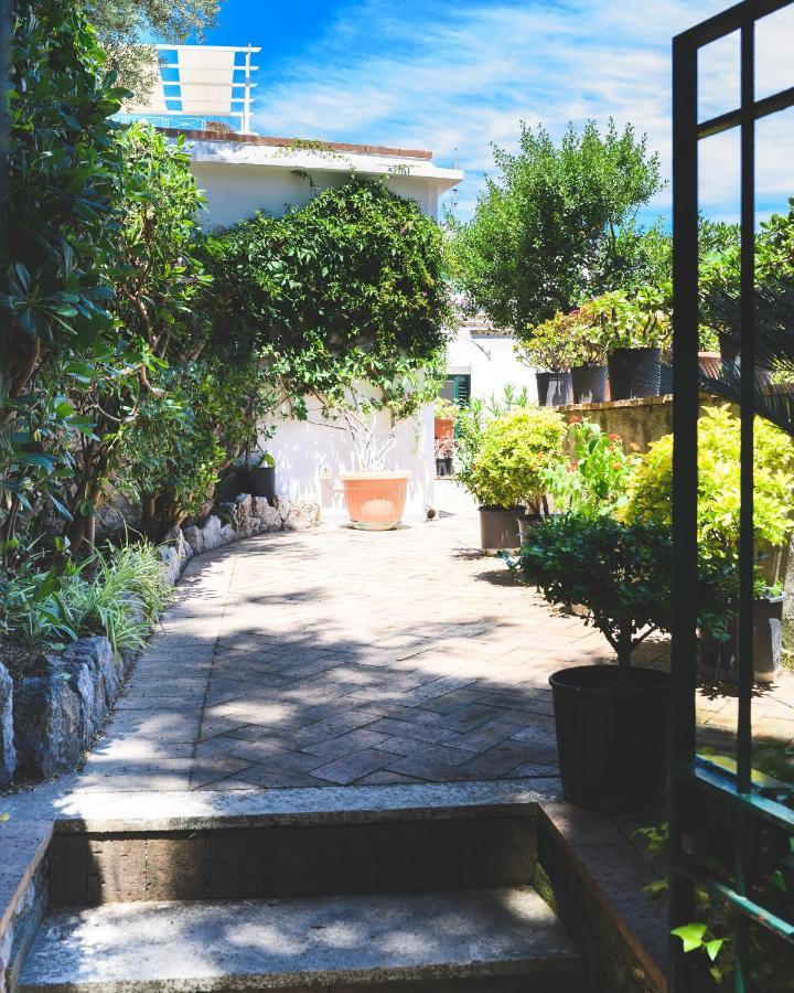 Parco Augusto Bed and Breakfast Κάπρι Εξωτερικό φωτογραφία