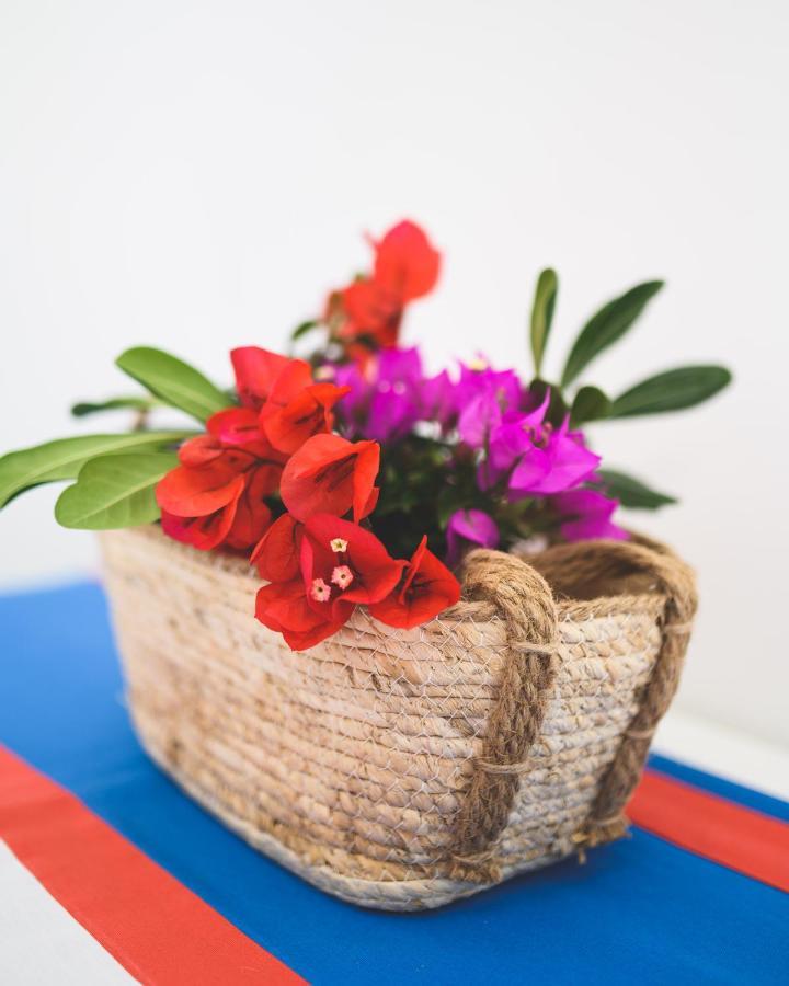 Parco Augusto Bed and Breakfast Κάπρι Εξωτερικό φωτογραφία